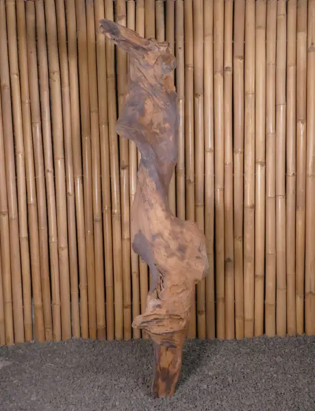 Product image of the product “Root made of teak wood about 165cm height ”